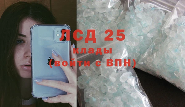 скорость Вяземский