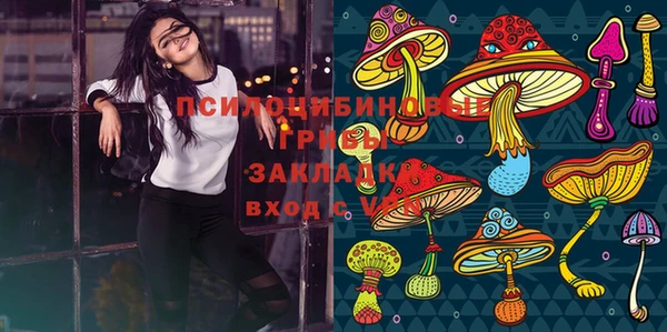 скорость Вяземский