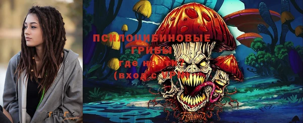 скорость Вяземский