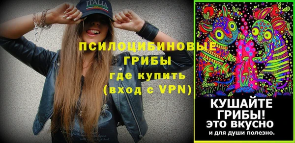 скорость Вяземский