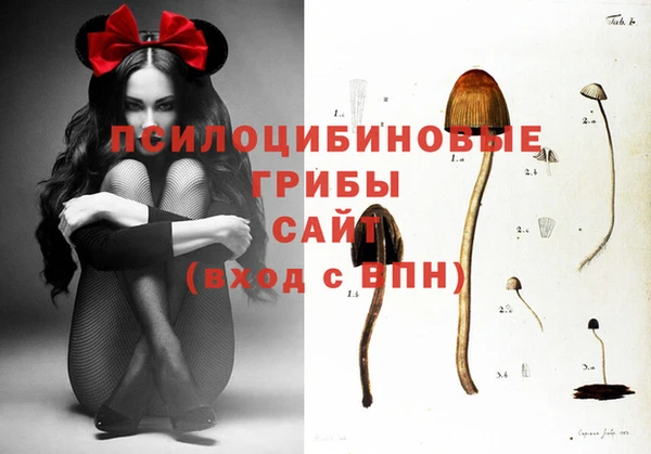 прущая мука Михайловка
